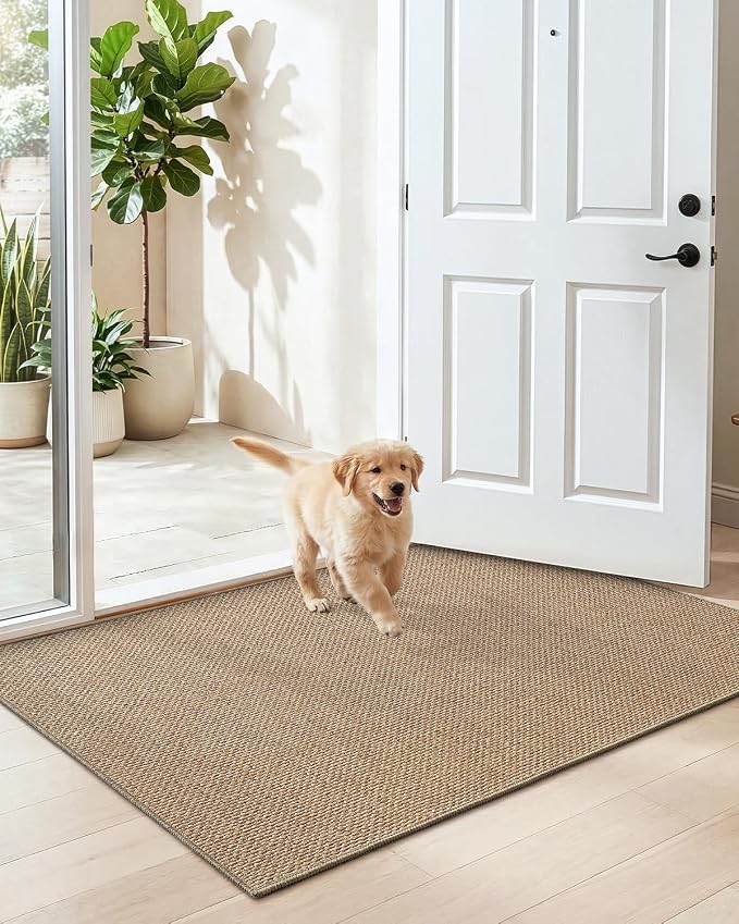 DEXI Ultra Thin Door Mat Indoor Entrance 32x48, Non Slip Rubber Backed Entryway Mats Dirt Trapper, Low Profile Front Doormat for Inside Entry, Patio, Porch, Dark Beige