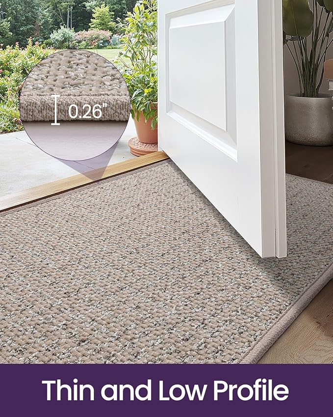 DEXI Door Mat for Entrance 17x30, Non Slip Entry Doormats for Inside House, Low Profile Entryway Doormat, Dirt Trapper Front Door Mats for Patio Porch, Beige
