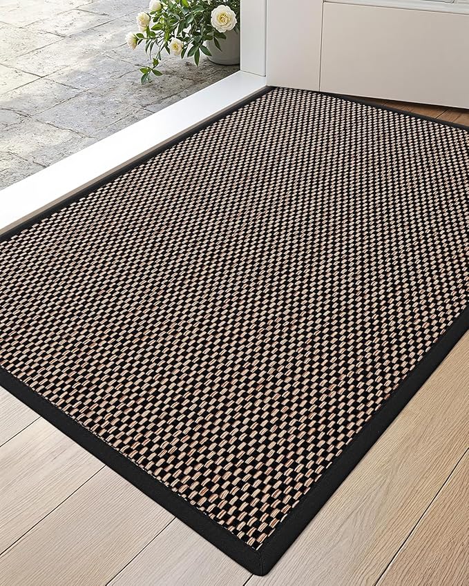 DEXI Ultra Thin Entryway Indoor Door Mat 17x30, Non Slip Rubber Backing Inside Entry Mat, Low Profile Easy Clean Dirt Trapper Doormat for Inside Entrance Patio, Black
