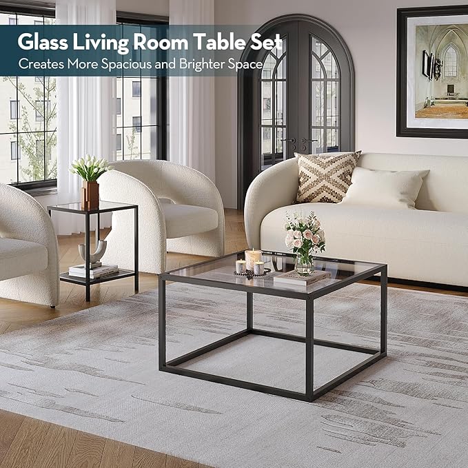 SAYGOER Glass Coffee Table Small Square Coffee Tables for Living Room, 26.7 inch Modern Center Table for Office Apartment, 5 MM Tempered Clear Glass Top, Black Metal Frame