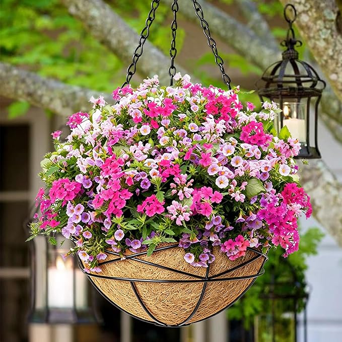 2 Pack 14 Inch Hanging Flower Baskets for Outdoor Plants Large Metal Wire Planters with Coco Liner Pot for Home Planting Round Watering Plant Holders for Outside Garden