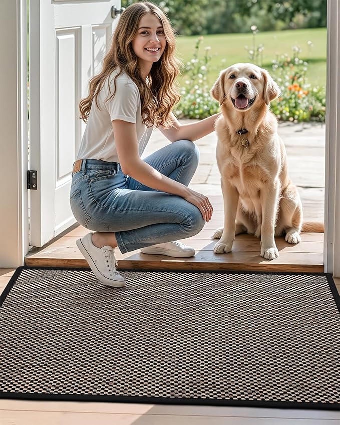 DEXI Ultra Thin Entryway Indoor Door Mat 17x30, Non Slip Rubber Backing Inside Entry Mat, Low Profile Easy Clean Dirt Trapper Doormat for Inside Entrance Patio, Black