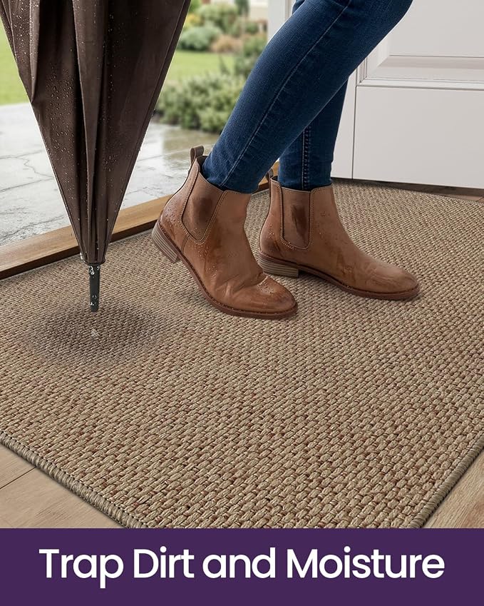 DEXI Ultra Thin Door Mat Indoor Entrance 32x48, Non Slip Rubber Backed Entryway Mats Dirt Trapper, Low Profile Front Doormat for Inside Entry, Patio, Porch, Dark Beige