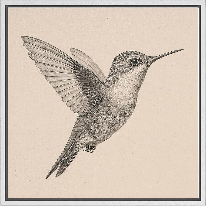 SIGNFORD Framed Canvas Print Wall Art Hummingbird Vintage Sketch Modern Art Relax/Calm Warm for Living Room, Bedroom, Office - 16"x16" WHITE