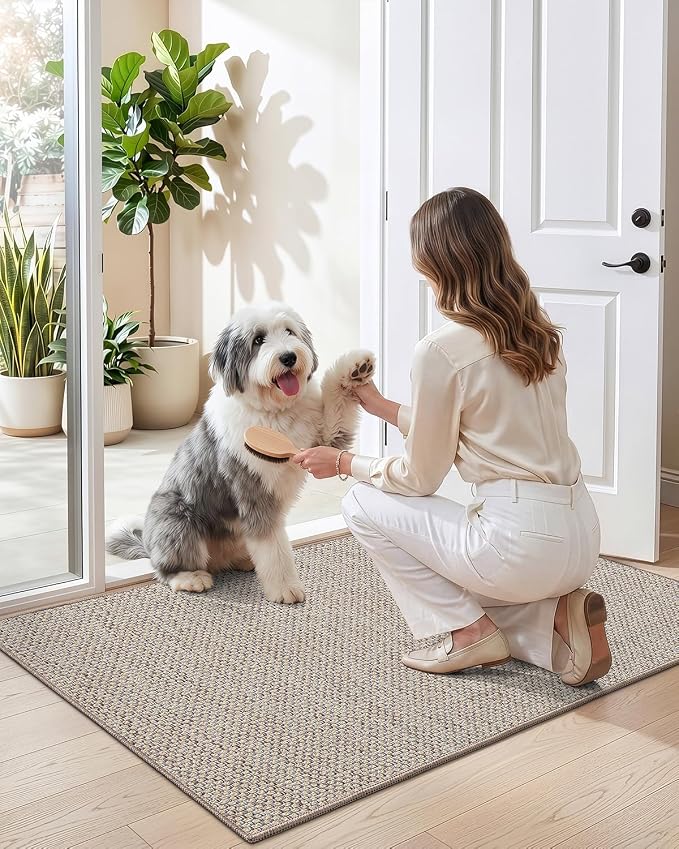 DEXI Ultra Thin Door Mat Indoor Entrance 35x56, Non Slip Rubber Backed Entryway Mats Dirt Trapper, Low Profile Front Doormat for Inside Entry, Patio, Porch, Beige