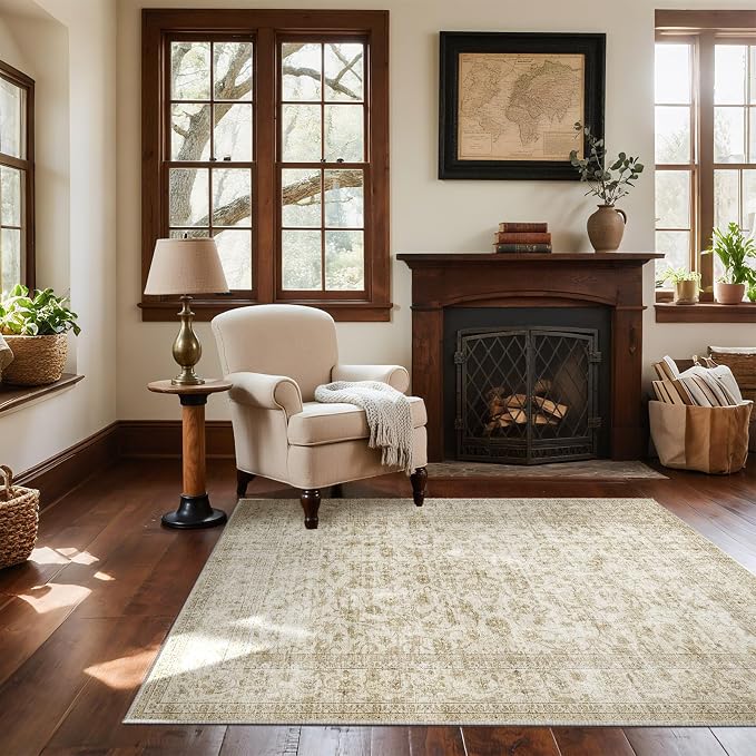Machine Washable Throw Rugs for Entryway: Door Mat Indoor Entrance 4x6 Rug Small Area Rug Non Slip Low Pile Soft Kitchen Rugs for Front Door Indoor Entrance Entry Kids Room