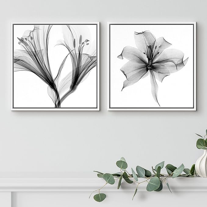 SIGNFORD Framed Wall Art Print Set Detailed X-Ray Lily Flower Closeup Floral Plants Photography Minimalism Glam Relax/Calm Cool Black and White for Living Room, Bedroom, Office - 16"x16"x2 White