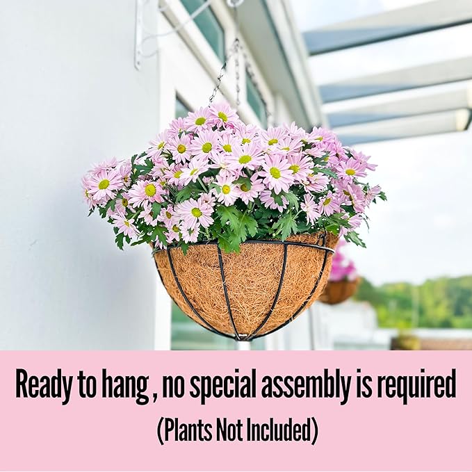 LaLaGreen Hanging Baskets for Outdoor Plants (2 Pack, 14 Inch) Large Hanging Planter with Coco Liner Round Flower Pots, Black Metal Wire Plant Holder Hook Deck Porch Modern Garden Balcony Boho Decor