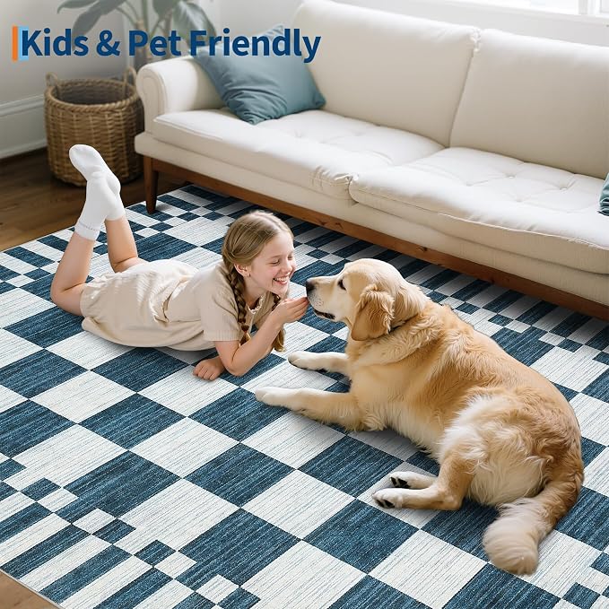 GarveeHome Blue and White Checkered Rug 6×9 Area Rugs for Living Room,Non-Slip Washable Rug Soft Low-Pile, Modern Farmhouse Geometric Rugs for Bedroom Dining Room