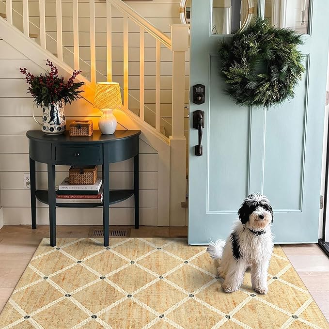 Woven-Look 3x5 Entryway Rug - Small Washable Indoor Outdoor Mats for Front Door Non-Slip Porch Rug Farmhouse Geometric Throw Rugs for Entryway Bedroom Office Kitchen Mat for Floor Porch Decor