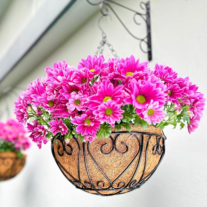 LaLaGreen Hanging Baskets for Plants (12 Inch, 2 Pack) Hanging Flower Pots with Coco Liner, Black Metal Wire Round Basket Plant Holder with Hanger Hook Chain, Outdoor Patio Deck Balcony Garden Decor