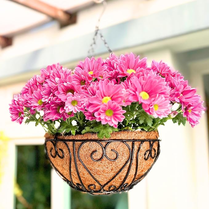 LaLaGreen Hanging Baskets for Plants (14 Inch, 4 Pack) Hanging Flower Pots with Coco Liner, Black Metal Wire Round Basket Plant Holder with Hanger Hook Chain, Outdoor Patio Deck Balcony Garden Decor