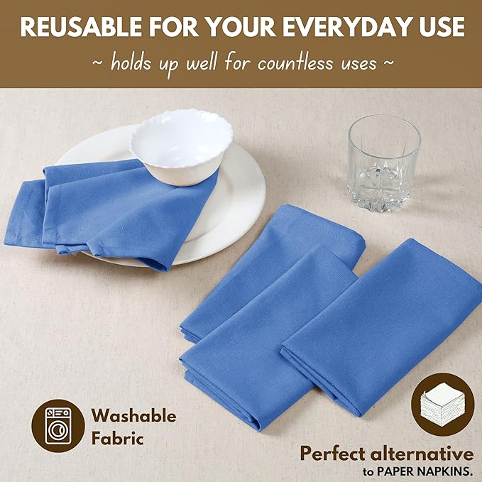 Native Fab Solid Cloth Napkin Set of 4, 100% Cotton, Washable, Reusable Dinner Cloth Napkin 17x17 inches, Table Decor Napkins for Dinner, Events, Sky Blue