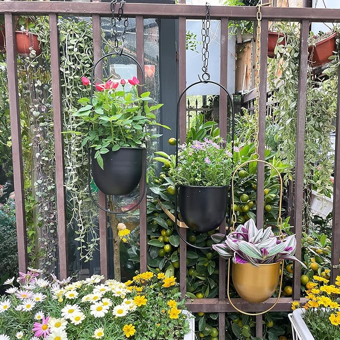 Metal Hanging Planters for Indoor and Outdoor Plants (Black)