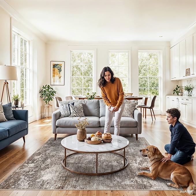 5x8 Washable Living Room Area Rug Modern Neutral Abstract Rug for Bedroom, Kitchen, Dining Room Non-Slip Low Pile Soft Indoor Carpet (Brown Beige, 5x8)