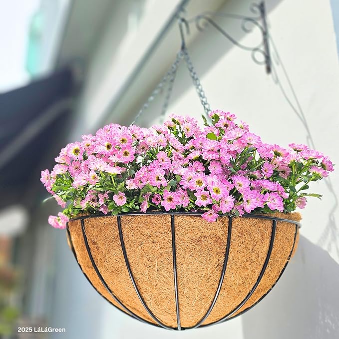 LaLaGreen Hanging Baskets for Plant Outdoor (18 Inch, 4 Pack) Extra Large Black Metal Wire Hanging Planter with Coco Liner Round Flower Pot Holder Hanger Deck Porch Modern Garden Balcony Country Decor