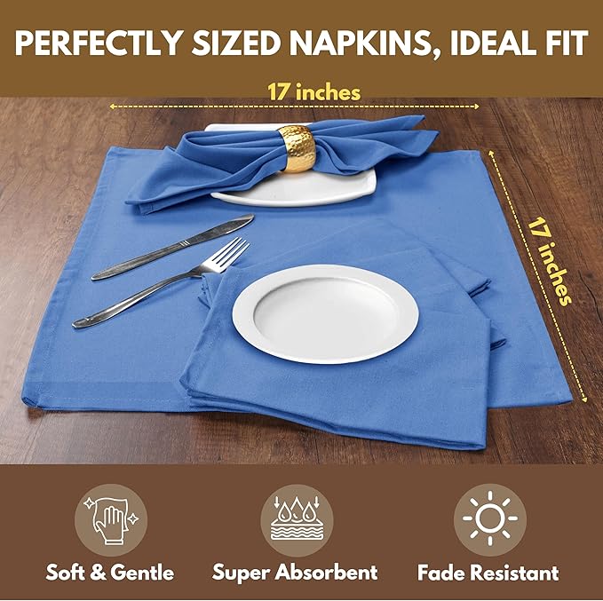 Native Fab Solid Cloth Napkin Set of 4, 100% Cotton, Washable, Reusable Dinner Cloth Napkin 17x17 inches, Table Decor Napkins for Dinner, Events, Sky Blue