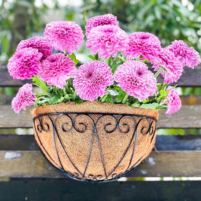 LaLaGreen Outdoor Wall Planters (2 Pack, 12 Inch) Black Metal Wall Mounted Hanging Basket with Coco Liner, Flower Pot Plant Holder Semi-Circle Planter for Fence Railing Deck Porch Balcony Garden Decor