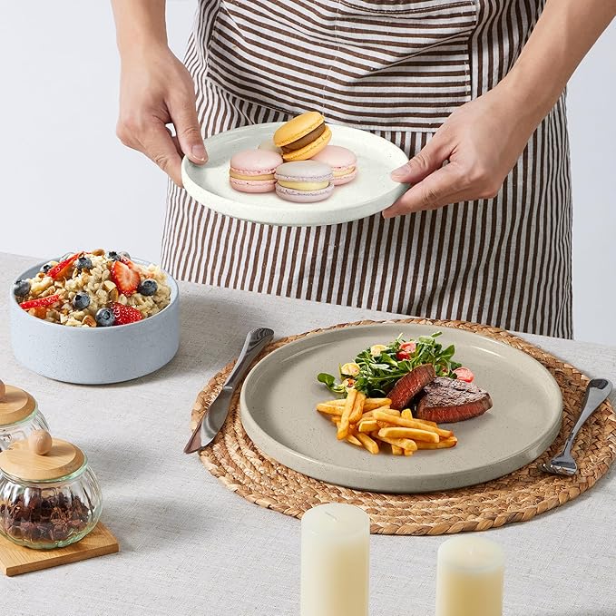 E-far Stoneware Dinnerware Sets, 12-Piece Plates and Bowls Dish Set for 4, Kitchen Modern Dinning Ware, Chip and Scratch Resistant, Microwave & Dishwasher Safe, Speckled Multicolor
