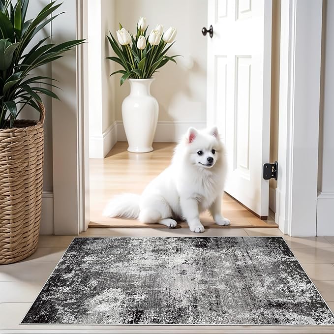 2x3 Washable Entryway Rug – Non-Slip Modern Abstract Neutral Small Throw Area Rug for Kitchen, Bedroom – Soft Low Pile Thin Indoor Door Mat（Black Grey,2x3）