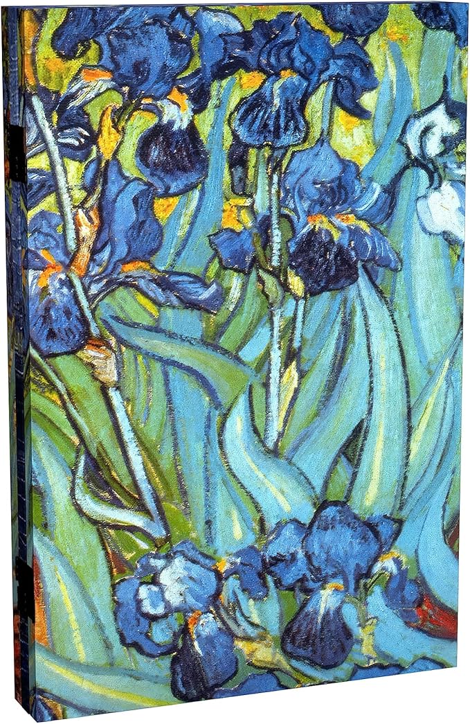 Red Lantern 2 ft. Short Double Sided Works of Van Gogh Canvas Folding Screen - Irises/Starry Night Over Rhone 3 Panel Freestanding Partition Separator for Modern and Contemporary Home, Office, Dorm
