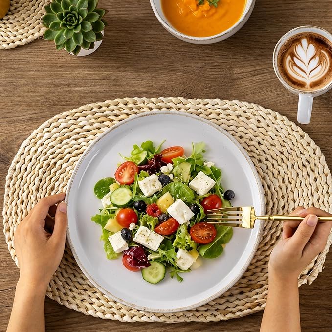 AmorArc Dinnerware Sets for 6, 24 Pieces Plates and Bowls Set with24 Handbrush Rim, Scratch Resistant Stoneware Dishes Set, Dishwasher & Microwave Safe, White
