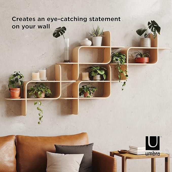 Umbra Montage Floating Wall Shelf Display Case, Made of Natural Bent Wood, Natural