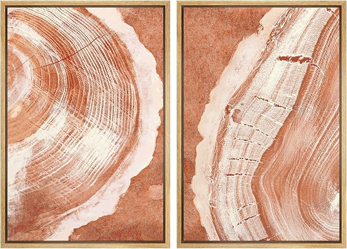 SIGNWIN Framed Canvas Print Wall Art Set Orange Closeup Wood Tree Ring Details Nature Wilderness Illustrations Modern Art Rustic Colorful Ultra for Living Room, Bedroom, Office - 16"x24"x2 Natural