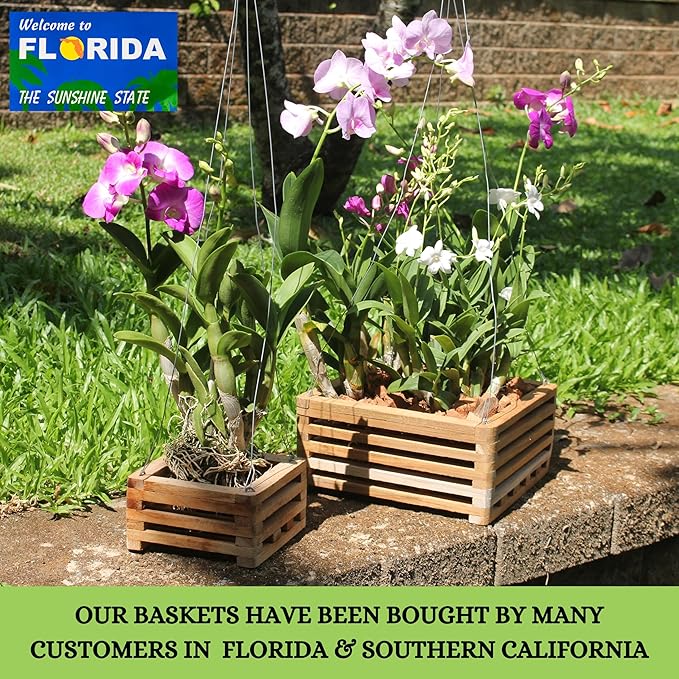 Set of 3 Strong Teak Wood Orchid Baskets for Outdoors with Hangers, 1 is 10 Inches Wide, 1 is 8 Inches, 1 is 6 Inches, for Orchids, Staghorn Ferns, Orchid Gifts