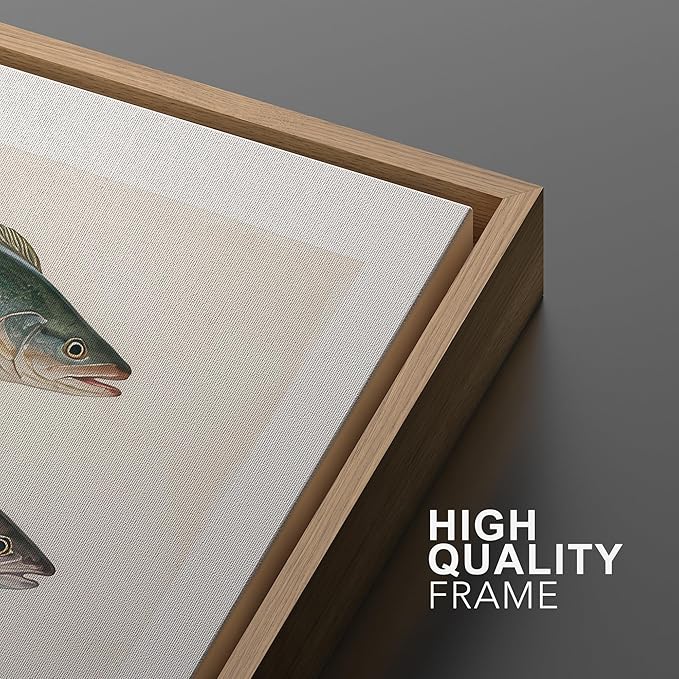 MUDECOR Framed Canvas Print Wall Art Vintage Freshwater Fish Scientific Illustrations Minimalism Decorative Bohemian Zen for Living Room, Bedroom, Office - 24"x36" NATURAL
